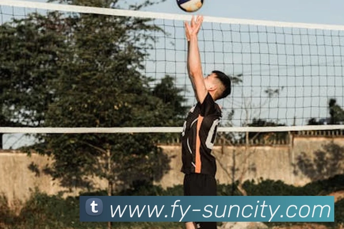 太阳城网站发展历程